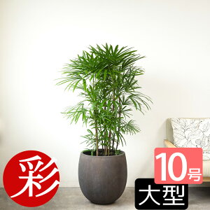 y9/30܂1,000~N[|zzzϗtA V`N L| 10 Iׂ锫Jo[t ^ ϗtA VE { CeA JXj ړ]j Vzj AWA a  ItBX 