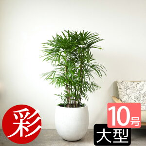 ϗtA V`N L| 10 t@Co[Xg[()Jo[t ^ ϗtA VE { CeA JXj ړ]j Vzj AWA a  ItBX Mtg v[