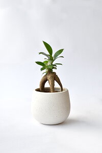 y܂ƂߔN[|zzz~j ϗtA Iׂ {  4fUC2J[|bg zCgO[ ϗtA  p_KW} TXxA |gX z yy~A V