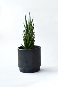 y܂ƂߔN[|zzz~j ϗtA Iׂ {  2J[}bg|bg zCg&ubN ϗtA  |gX yy~A KW} TXxA z VK[oC