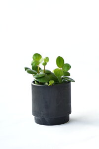 y܂ƂߔN[|zzz~j ϗtA Iׂ {  2J[}bg|bg zCg&ubN ϗtA  |gX yy~A KW} TXxA z VK[oC