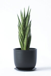 y܂ƂߔN[|zzz~j ϗtA Iׂ {  TCNvX`bN|bg KW} |gX TXxA z yy~A VK[oC \tHE~NtB