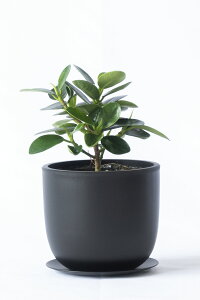 y܂ƂߔN[|zzz~j ϗtA Iׂ {  TCNvX`bN|bg KW} |gX TXxA z yy~A VK[oC \tHE~NtB