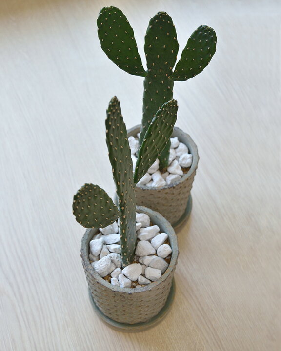 楽天市場 観葉植物 ウチワサボテン スミエボシ グリーンアンティークポット バンザイサボテン インテリア 開店祝い 移転祝い お祝い 新築祝い 卓上 小さい おしゃれ オプンティア属 室内 ギフト プレゼント 観葉植物の専門店 彩植健美 楽天市場 観葉植物 ウチワサボテン スミエボシ グリーンアンティークポット バンザイサボテン インテリア 開店祝い 移転祝い お祝い 新築祝い 卓上 小さい おしゃれ オプンティア属 室内 ギフト プレゼント 観葉植物の専門店 彩植健美