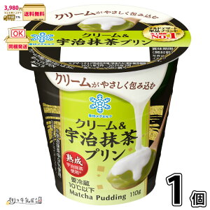 N[Fv 1 y3980~Ώہz y①z 110g fU[g 󃁃O~N ʐi