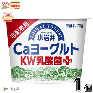  Ca[OgKW_ۃvX 1 y3980~Ώہz y①z 70g ᎉb Y ~NJVE  zp