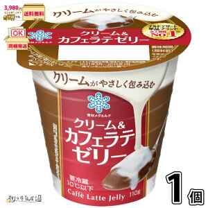 N[JtFe[[ 1 y3980~Ώہz y①z 110g R[q[[[ [[ fU[g 󃁃O~N ʐi