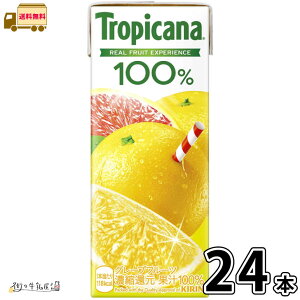 gsJ[i 100 O[vt[c LLX 24{ yz 250ml 1P[X 100W[X pbNW[X pbN ۑ 퉷ۑ OCt [OXgbN h ~ H 