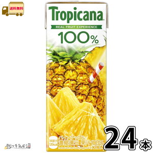 gsJ[i 100 pCAbv LLX 24{ yz 250ml 1P[X pCibvW[X 100W[X pbNW[X pbN ۑ 퉷ۑ OCt [OXgb