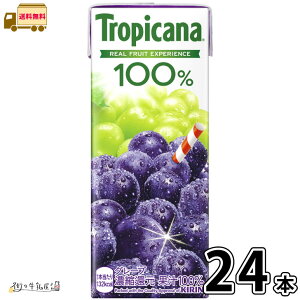 gsJ[i 100 O[v LLX 24{ yz 250ml 1P[X ԂǂW[X 100W[X pbNW[X pbN ۑ 퉷ۑ OCt [OXgbN h ~ 