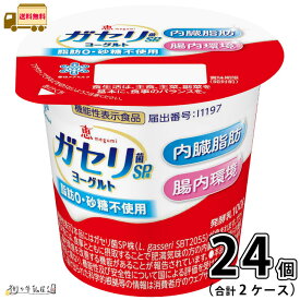 恵 megumi ガセリ菌SP株ヨーグルト 2ケース 合計24個 【送料無料】 100g 機能性表示食品 雪印メグミルク