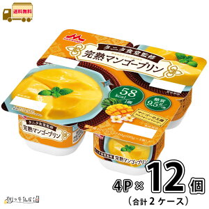 �^�j�^�H���ďC�̊��n�}���S�[�v���� 4�p�b�N 2�P�[�X ���v12�� �y���������z 60g×4 4P�p�b�N �X�i����