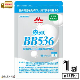 森永乳業 ビヒダス 45カプセル 15日分 1袋 【送料無料】 ビフィズス菌 BB536 腸内環境 ビフィズス菌 腸活 筋トレ ビフィズス菌トレ 菌トレ 森永 morinaga 【P2】 【森永斡旋品】