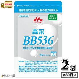 森永乳業 ビヒダス 45カプセル 30日分 2袋 【送料無料】 ビフィズス菌 BB536 腸内環境 ビフィズス菌 腸活 筋トレ ビフィズス菌トレ 菌トレ 森永 morinaga 【P2】 【森永斡旋品】