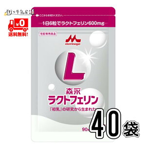 Xi NgtF 90 40 i16×600j yz XiNgtF ς ^pN Tvg Tv  Ɖu NHi Nێ Hŕs hV̓ Xi