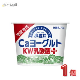 【同梱可】 小岩井 Caヨーグルト KW乳酸菌プラス 70g 1個 宅配専用 小岩井農場