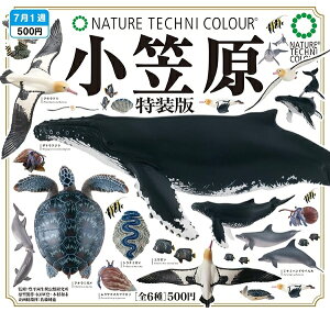 NATURE TECHNI COLOUR lC`[eNjJ[ }  S6Zbg K`K` JvZgC K` tRv Rv[gZbg