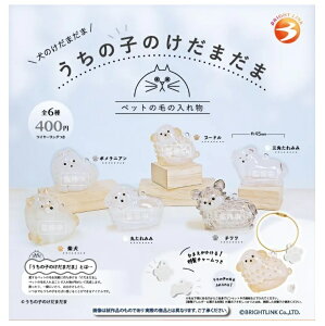 2025N12\ K`y̎q̂܂ ̂܂ S6ZbgzK`K` JvZgC K` tRv Rv[gZbg