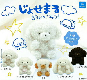 NIA K`y傹܂ ʂ Rv[g 5Zbg JvZgCz