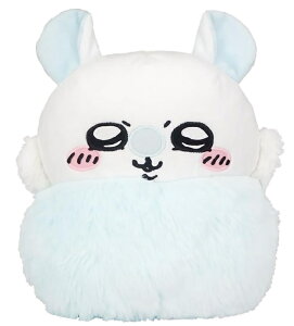 tƕ܂ꂽpJCC K  BIG ʂ 40cm    ObY