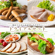 無添加 お試しセット トライアルセット ( 送料無料 ) 【冷凍便】サイトウハム 初めての方 お試し 氷温熟成