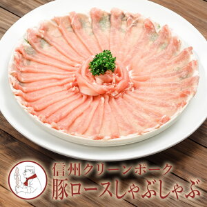 Y Mtg ؃[XԂԁ@()@yⓀցzTCgEn ăMtg 䒆