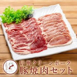 Y Mtg@؏ēZbg@()@yⓀցzTCgEn v[g ̂Ή ăMtg