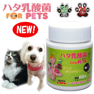 n^_forPETS(60g)@ybgp_ۃTvgpELp_ہyz֑iEjz