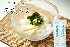 乾麺ひやむぎ 明治6年創業　花袋ひやむぎ20入　200g×20入（40人前）お年賀 お中元 お歳暮 のし　対応可　乾麺　無添加　ギフト　保存食【Ptwe】