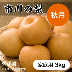 あきづき 3kg 7~5個 市川の梨 家庭用 農園直送 千葉県産 和梨 なし 美味しい 市川 あきづき 梨