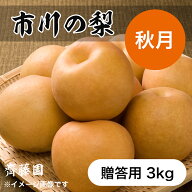 あきづき 3kg 8個 市川の梨 贈答用 農園直送 千葉県産 和梨 なし 美味しい 市川 あきづき 梨