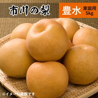 豊水梨 5kg 18〜14個 市川の梨 家庭用 農園直送 千葉県産 和梨 なし 美味しい 市川 豊水 梨