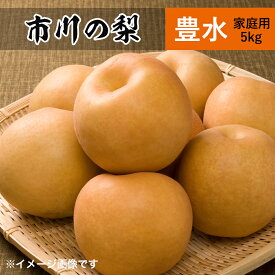 豊水梨 5kg 13~10個 市川の梨 家庭用 農園直送 千葉県産 和梨 なし 美味しい 市川 豊水 梨