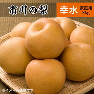 幸水梨 3kg 8,7個 市川の梨 家庭用 農園直送 千葉県産 和梨 なし 美味しい 市川 幸水 梨