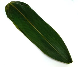 9.9円/枚　笹の葉 真空パック入り 100枚 Sサイズ