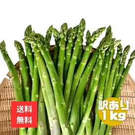 北海道産　訳ありアスパラ1kg　全国送料無料