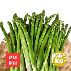 北海道産　訳ありアスパラ1kg～　全国送料無料
