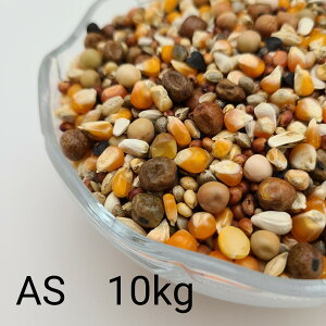 ̂ ʔz AS 10kg (ʔzÃX[p[X[[Ydl) Ƃ낱 gERV  ybg   a GT   ng ͂ nX^[ ̉a ͂Ƃ̂ ͂