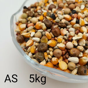 ̂ ʔz AS 5kg (ʔzÃX[p[X[[Ydl) Ƃ낱 gERV  ybg   a GT  ng ͂ nX^[ ̉a ͂Ƃ̂ ͂