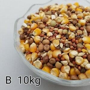 ̂ ʔz B 10kg Ƃ낱 gERV  ybg ̂ ̂ ͂Ƃ̉a ͂Ƃ̃GT nX^[ ̉a nĝ͂   