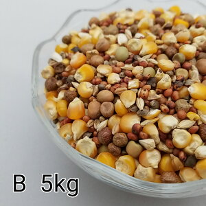 ̂ ʔz B 5kg Ƃ낱 gERV ybg  a   GT  ng ͂ nX^[ ̉a ͂Ƃ̂ ͂   