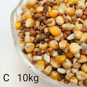 ̂ ʔz C 10kg Ƃ낱 gERV  ybg   a GT   ng ͂ nX^[ ̉a ͂Ƃ̂ ͂   