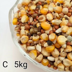 ̂ ʔz C 5kg Ƃ낱 gERV ybg  a   GT  ng ͂ nX^[ ̉a ͂Ƃ̂ ͂   
