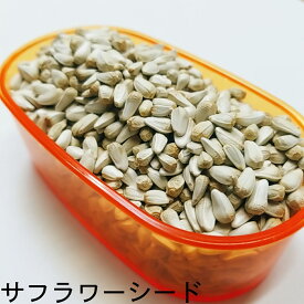 サフラワーシード　 800g　　サフラワ シード 皮付きシード 中型 インコ ヨウム ハムスター リス 鳩の餌 鳩のえさ フード インコおやつ 小動物 紅花 ベニバナ おすすめ お勧め 野鳥