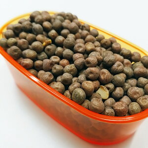 [vs[X 800gԂǂ ԃGhE 氓 ̂ ̉a nX^[   쒹