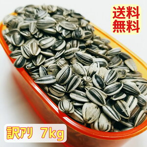 y󂠂zЂ܂̎E 7kg nK[Yq}̎ Ђ܂ 쒹 IJCR ZLZCCR ^CR IE V[h nX^[ X  Tt[V[h 