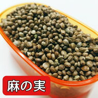 麻の実 5kg ヘンプシード 麻 小鳥 インコ 四十雀 カナリア オウム 餌 鳩のえさ エサ 小袋 粒 ペット 小動…