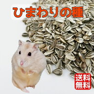 ひまわりの種・小粒 500g ヒマワリの種 ハムスター えさ ハムスター 餌 オカメインコ セキセイインコ 中…