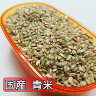 【国産】青米 800g くず米 小鳥のえさ 小鳥の餌 小鳥のおやつ 文鳥 スズメ すずめ にわとり セキセイイン…