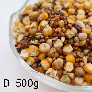 ̂ ʔz D 500g Ƃ낱 gERV ybg  a   GT  ng ͂ nX^[ ̉a ͂Ƃ̂ ͂   